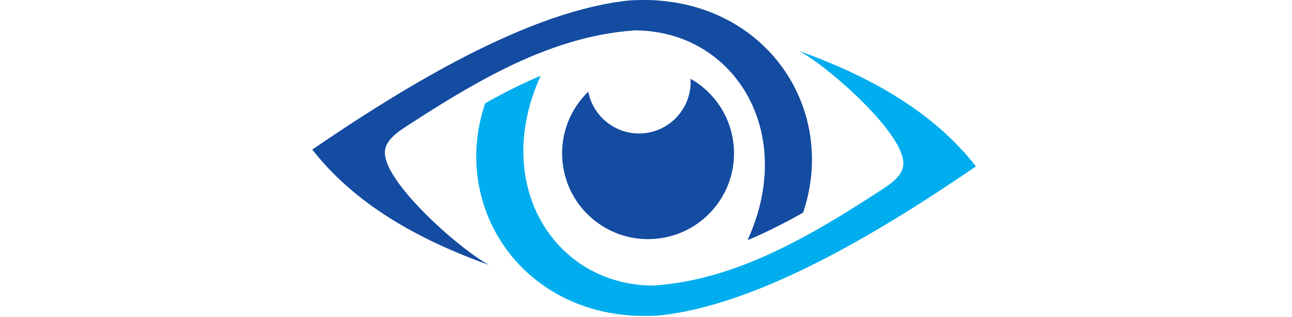 Emmett-Eye-Center-Logo-light and dark blue eye